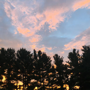 Meet your Posher, Sarma